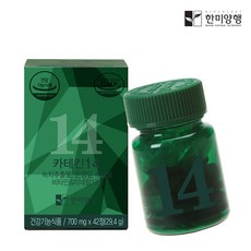 [한미양행 공식처] 한미양행 녹차다이어트 녹차 카테킨14 영양제 700mg42정, 6박스(12주분), 6개, 42정