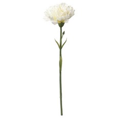 286a21064f0316d5c5d636c8e596d2d2851d479d6811698e1ee1c5f2e949.jpg