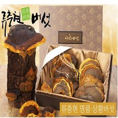 상황버섯 원물 명품상황버섯 목질진흙버섯 무농약 친환경 선물용 국내산 류충현약용버섯, 1set, 300g