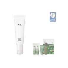 흰감국톤업크림