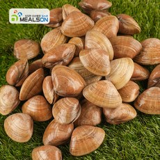 밀스온 국내산 제철 조개 생물 명주조개, 1개, 대 1kg