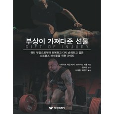 부상이 가져다준 선물, 스튜어트 맥길,브라이언 캐롤 공저/이대길,차민기 ..., 대성의학사