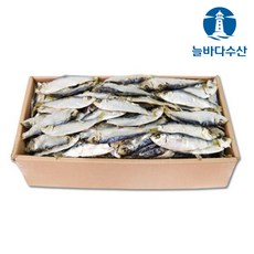판도라프림로즈