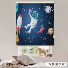 아이방롤스크린우주