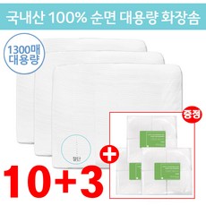 DMS득진 절단 화장솜 (4cmx6cm), 1300개입, 10개 - 절단솜