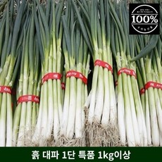 국내산 흙대파 특품 1단 1kg 이상