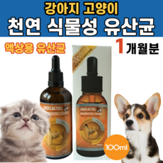 던킨먼치킨