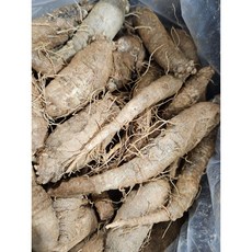약수농장 국내산 더덕 2kg 4kg, 1박스, 더덕2kg
