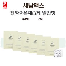 새남맥스 진짜좋은제습제 파워드라이맥스 제습제 기본 4매입 6팩, 6개