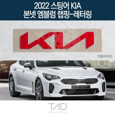 스팅어카본본넷