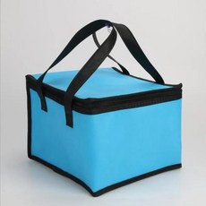 휴대용 접이식 캠핑 아이스팩 보온 가방 음식 배달 피자, 3.blue-8inch