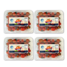 생생스토리 스테비아 대추방울토마토 대추토망고 500gX4팩, 500g, 4개