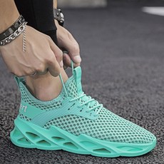 사푸라이나비침