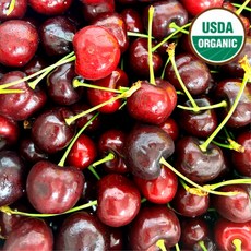 고당도 워싱턴 빙체리 500g 미국산 점보 생체리 cherries cherry 48H Delivery, 1팩