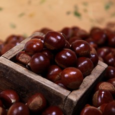 순창 달달한 알밤 옥광밤 1kg(대), 1개