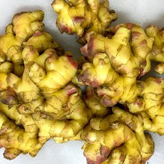 이모네 국산 햇 흙생강, 1박스, 2kg (특품)