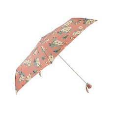 캐스키드슨양산