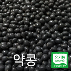 산들바람 20년산 국산 유기농 햇 약콩 쥐눈이콩 500g, 단일상품, 단일상품