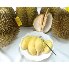 [수입 행사] _ [항공직송 - 최상급 보장] 태국 통 두리안 (생과)