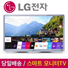 LG전자 캠핑용 모니터 룸앤스마트 TV