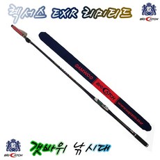 렉서스exr리미티드