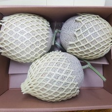 머스크 멜론 중과 과일선물세트 8kg, 단품