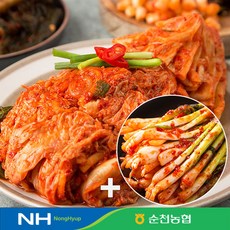 순천농협 [순천농협] 남도의 맛! 포기김치(전라도식) 3kg+파김치 1kg, 1box