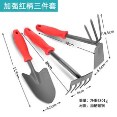 캐논rf5.2카메라렌탈