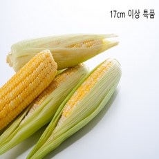 구미당기는 초당옥수수, 초당옥수수 10개