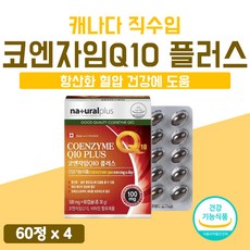 큐비코