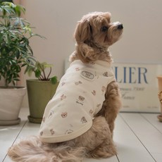 베일리펫 강아지옷 애견의류 테디 항균 슬리브리스 나시, 1개, 베이지 1개, 베이지