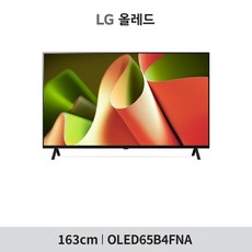 [LG TV] [65]LG 올레드 TV 163cm[OLED65B4FNA]