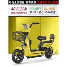 제주도전기자전거대여