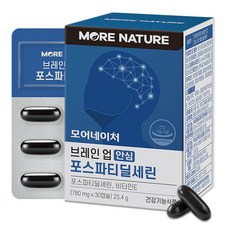 모어네이처 브레인 업 안심 포스파티딜세린, 30캡슐, 1box