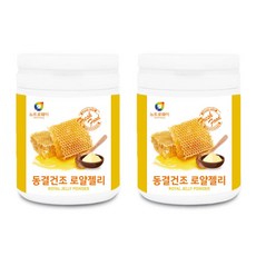 까미안느리쥬베네이팅로열락틴앰플