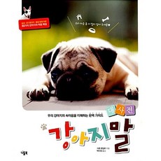 (중고소설책) 강아지말 대사전 / 단권판매