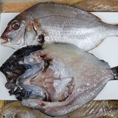 장보리 서천어부의 반건조 우럭 1팩 + 참돔, 기본상품, 단품없음