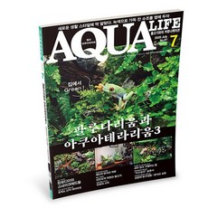 아쿠아라이프 2020년 7월호 [팔루다리움과 아쿠아테라리움], 단품