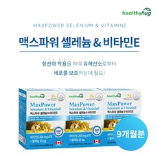 시서스갑상선기능저하