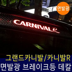 그랜드카니발다운스프링