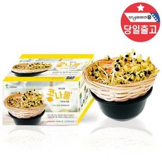 콩나물키우기관찰