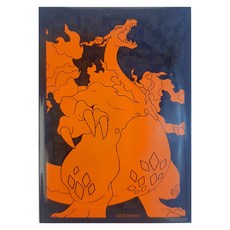 포켓몬카드북미판