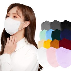스노쿨링베이지