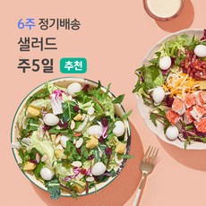 포켓샐러드 정기배송 주 5일 베스트 샐러드 식단 (닭가슴살+크래미+치즈+숯불+훈제오리), 6주 정기배송, 30개, 245g