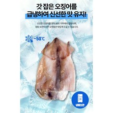 생선사계 손질오징어 대왕 생물 냉동 통오징어 특대사이즈 1KG (3미), 1개, 1KG(3미)