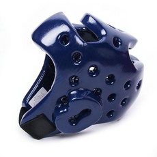 태권도전자호구