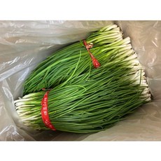 국내산 뿌리없는 깐쪽파 잔파 실파 파김치 신선한 쪽파 800 - 1kg, 1개