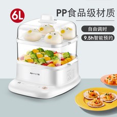 브라운푸드스티머