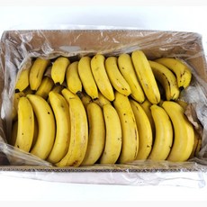 쥬스용 실속 낱발 고당도 바나나 13kg, 1개