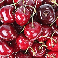  칠레 생 체리 28~30mm 사이즈2JD(2점보다크), 1박스, 5kg 